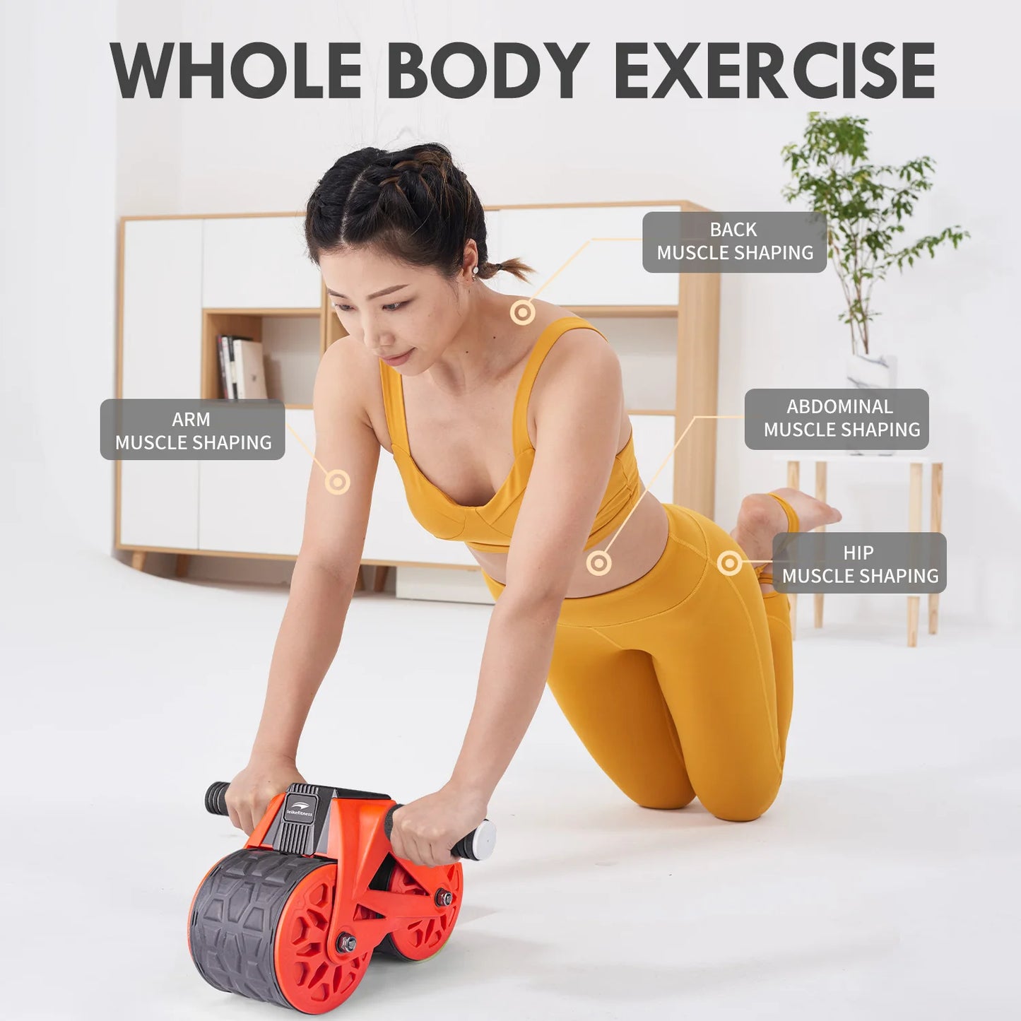 Ab Wheel Roller