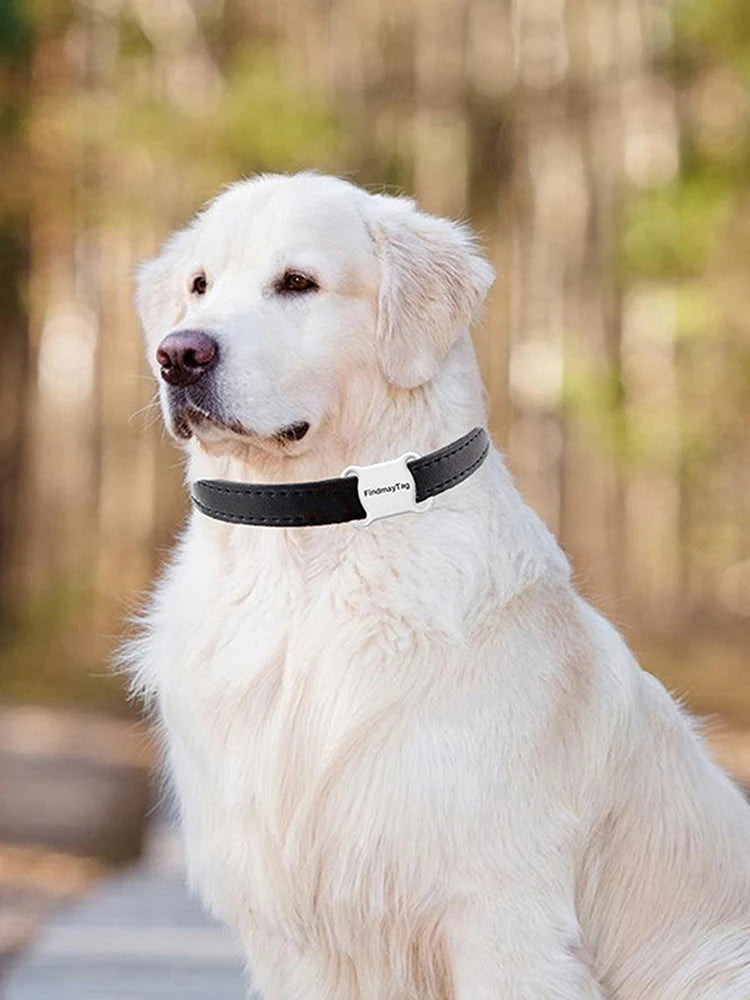 Pet GPS Tracker
