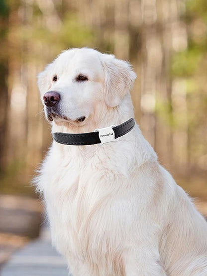 Pet GPS Tracker