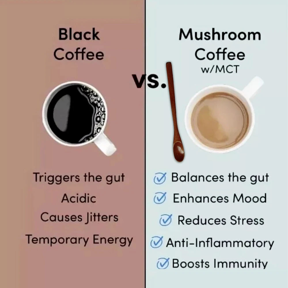 6-in-1 Organic Mushroom Powder