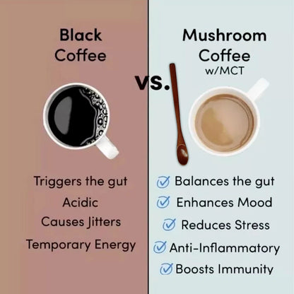 6-in-1 Organic Mushroom Powder